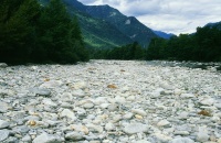 Trockengelegter Flussabschnitt der Maggia (© SGS)